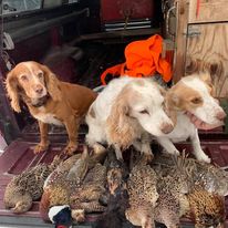 Training Resources image