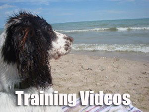 Training Resources image