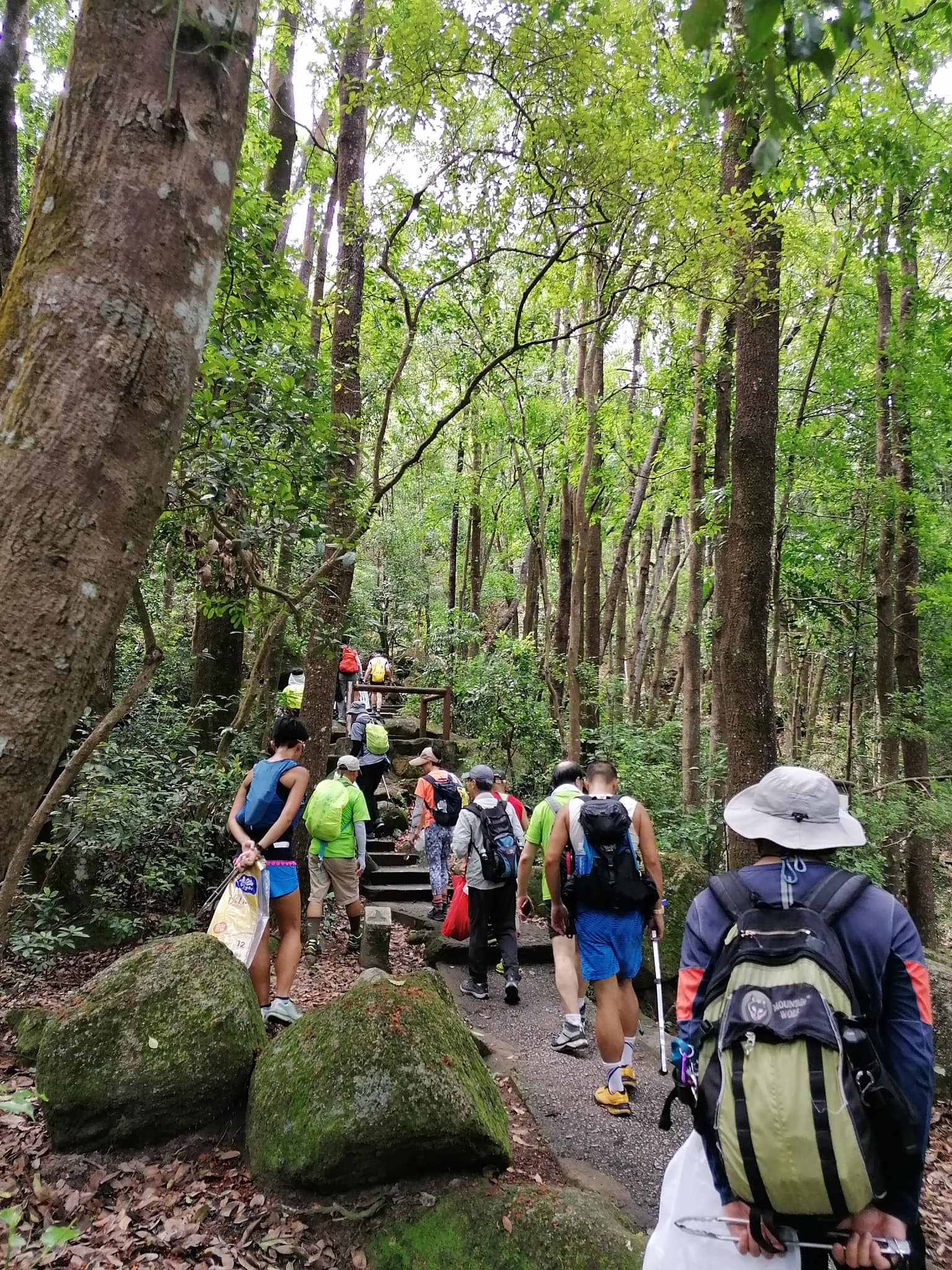 古道行(一) *獅紅古道/乾隆古道*(2/6/2022)