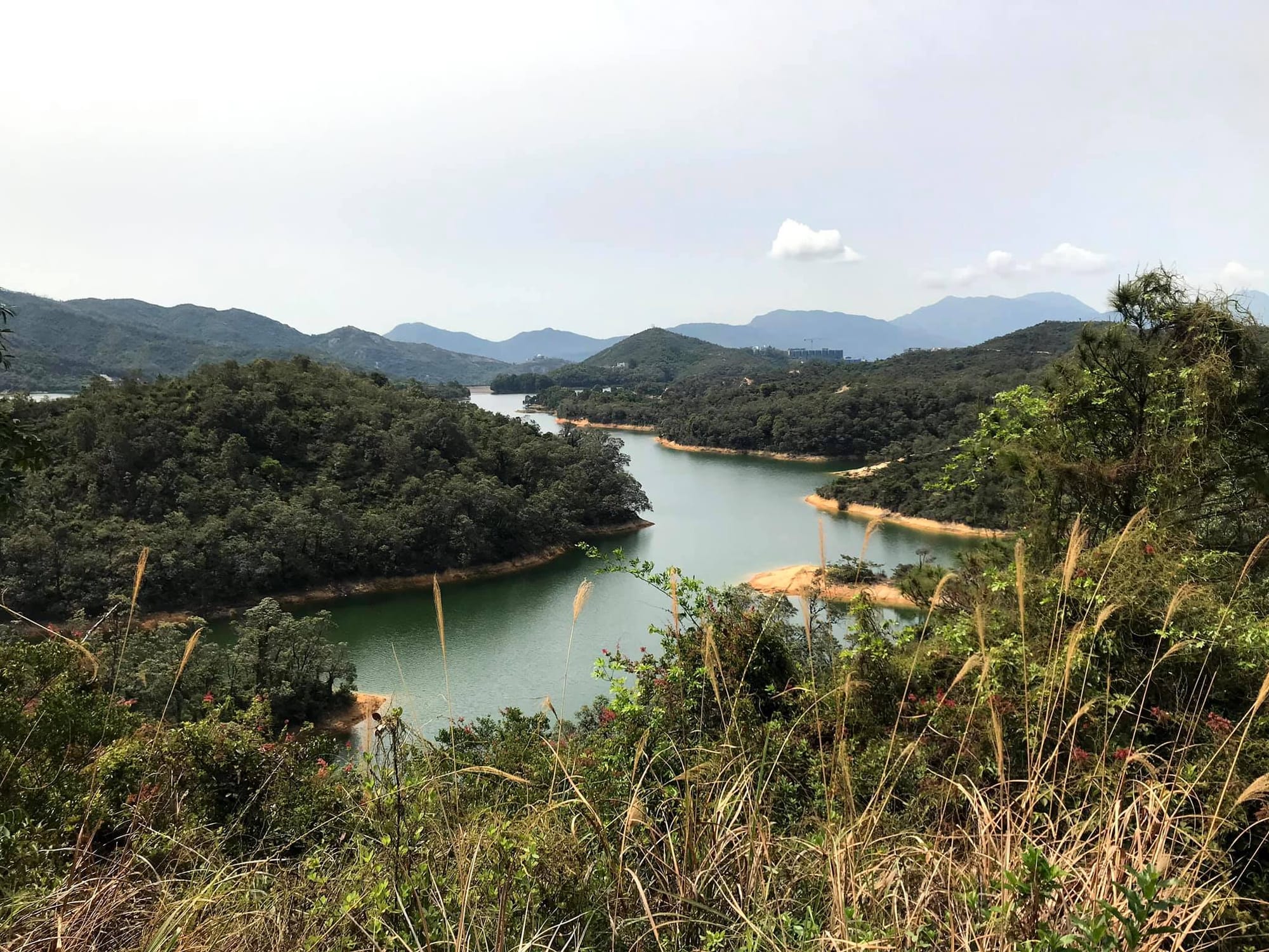 千島湖,黃泥敦水塘遊(3/4/2021)