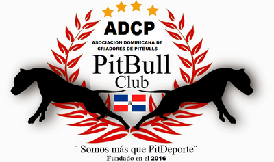 PitbullDominicanoVenta