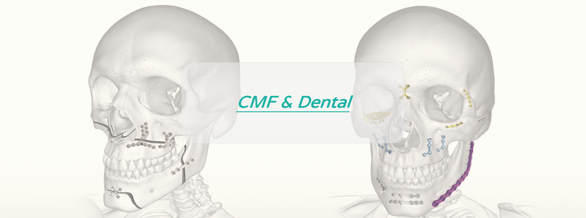 CMF & Dental