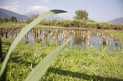 IL PAESE E I DINTORNI image