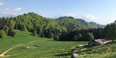 IL PAESE E I DINTORNI image