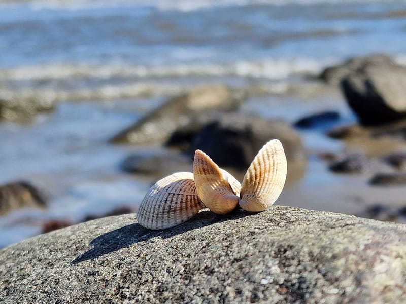 Livskraftsbehandling (strykningsterapi)