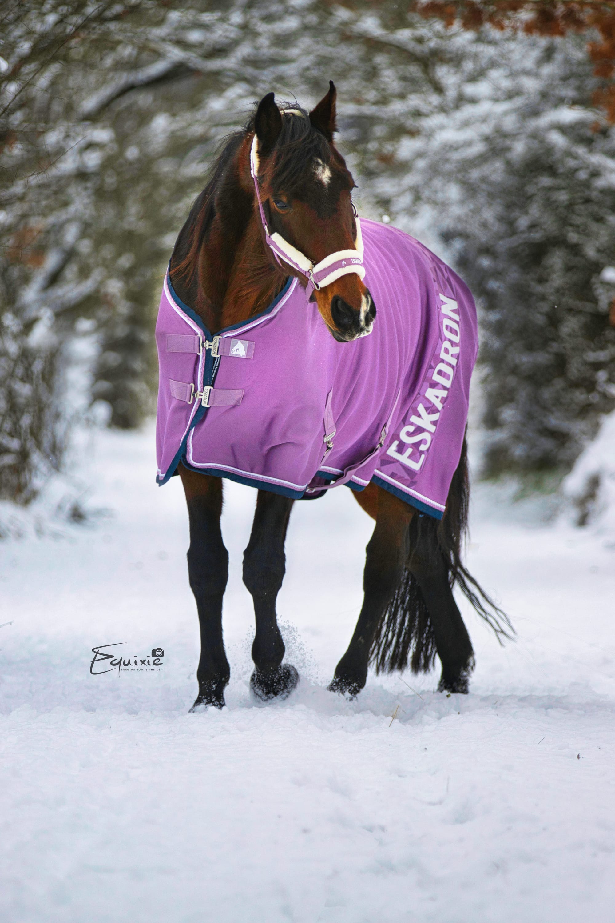 Schnee-Shooting