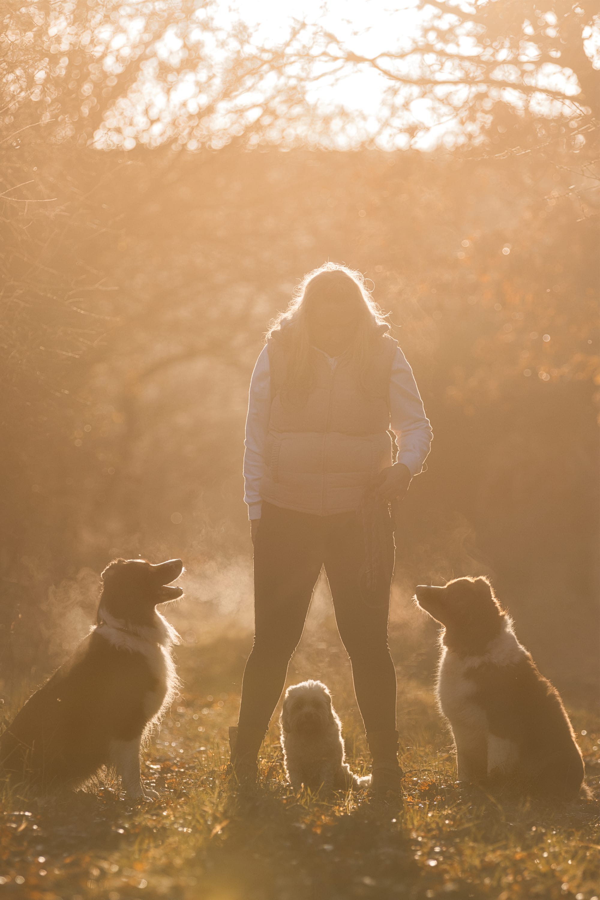 Stimmungsvolles Sonnenuntergangsshooting im Winter
