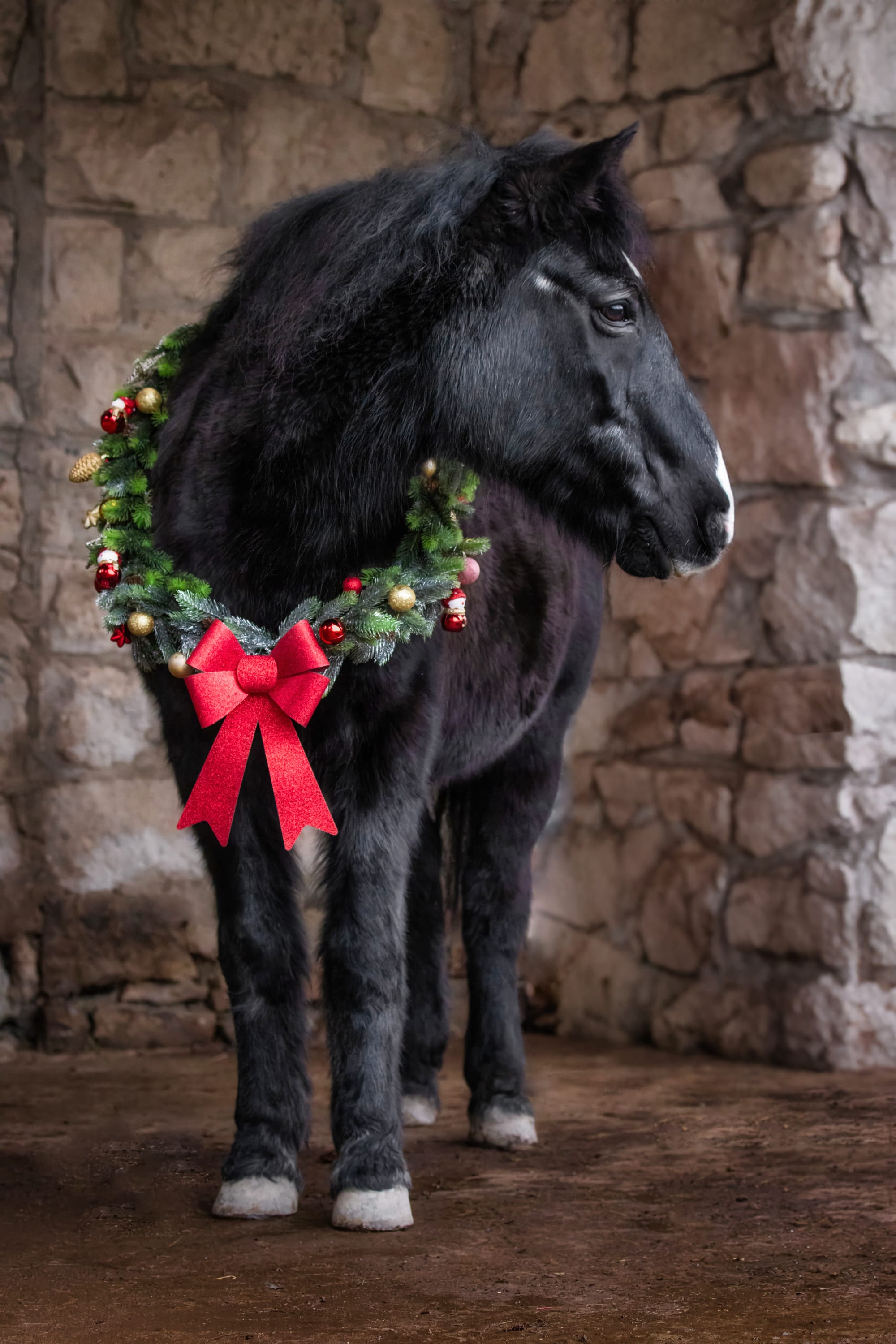 Weihnachtskranz-Shooting