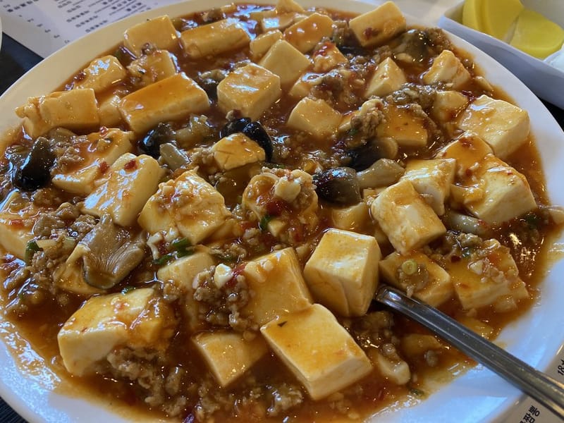 Mapo Tofu