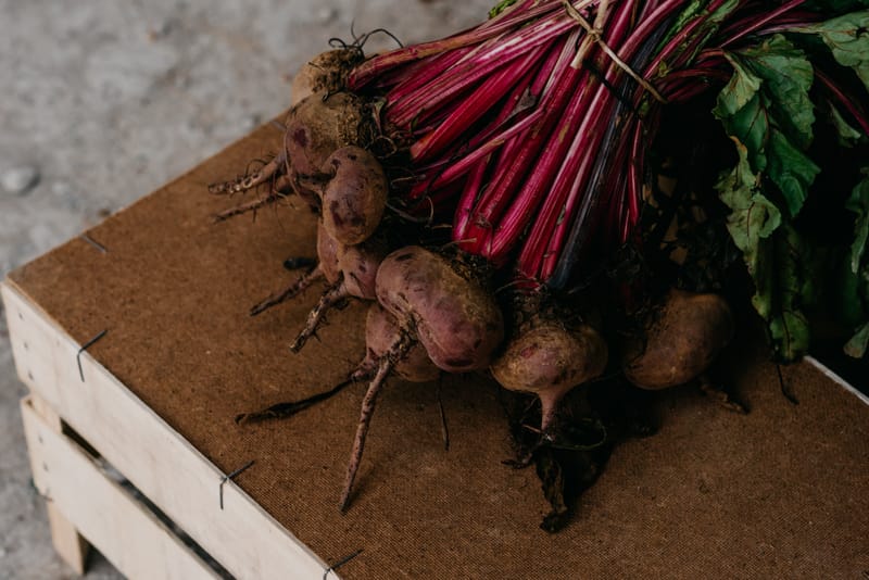 Unearth the Power of Beets: