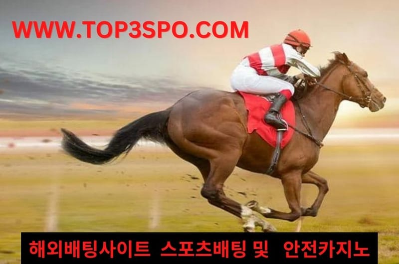 Pakistan Horse Racing Occasions - Courses, Occasions, and More