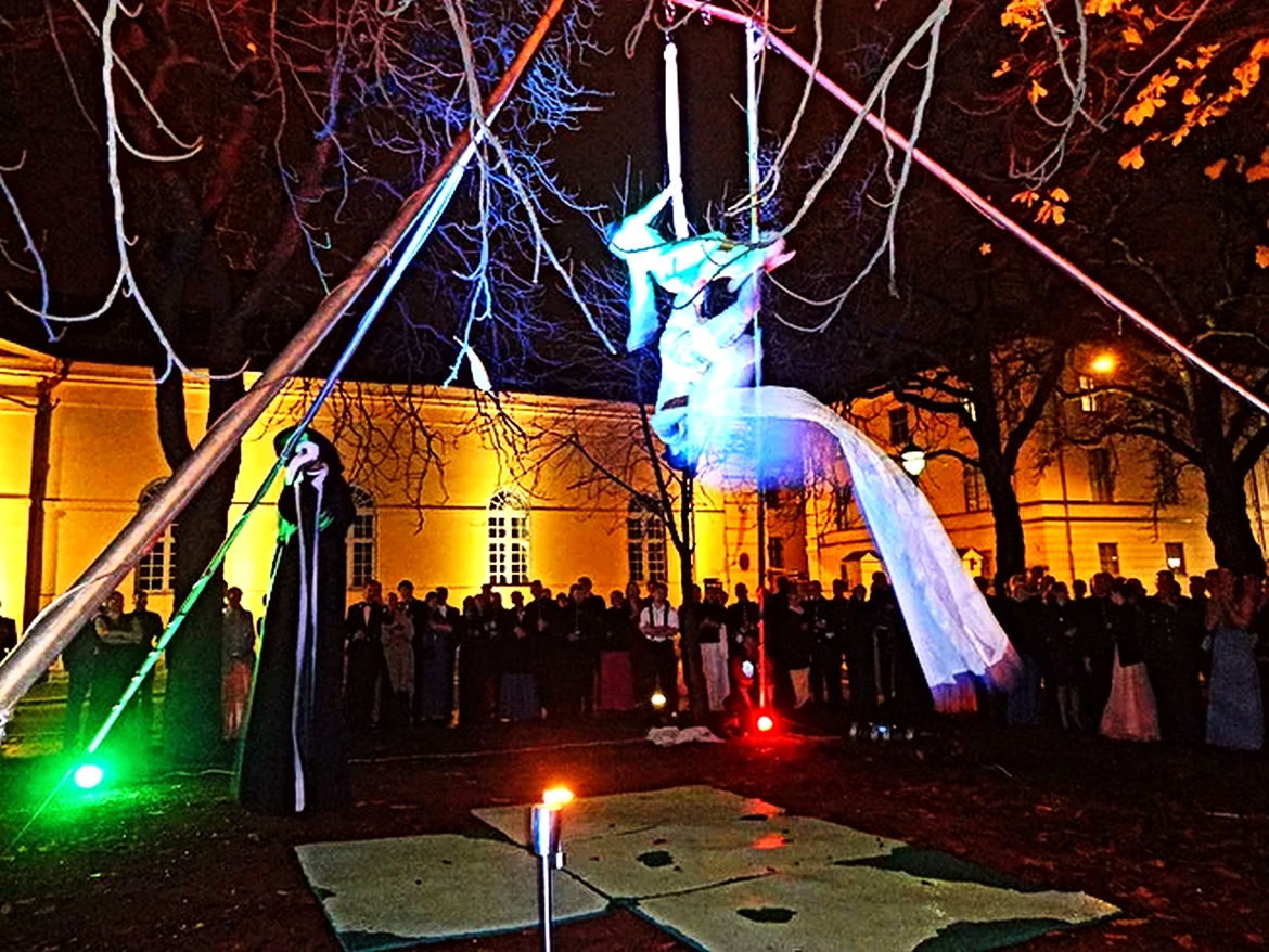 A magia da arte das cordas