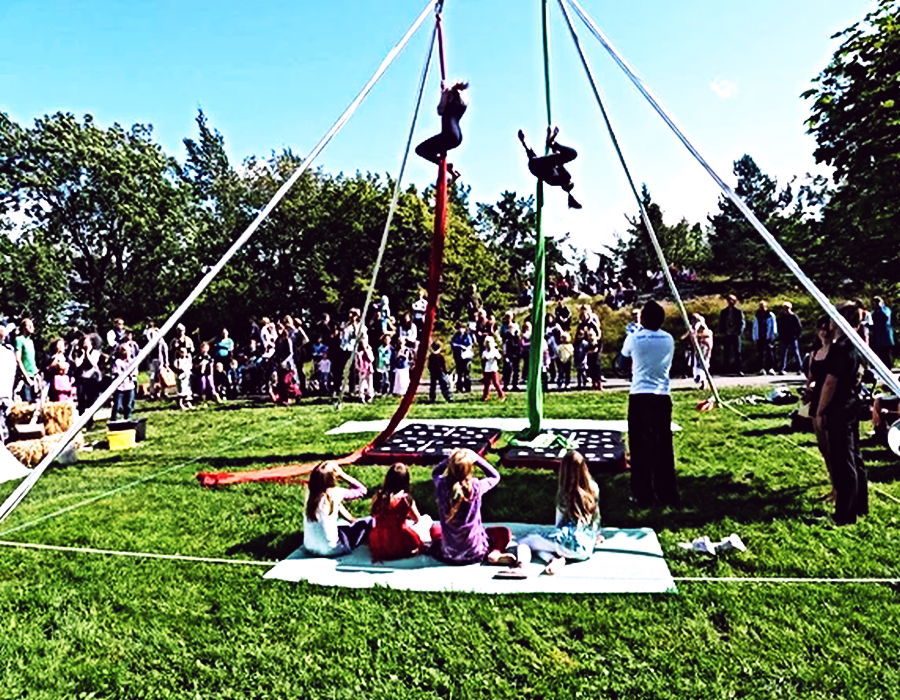 A magia da arte das cordas