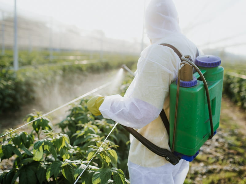 Agriculture Pesticides