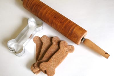 How To Feed Your Dog In The Right Way