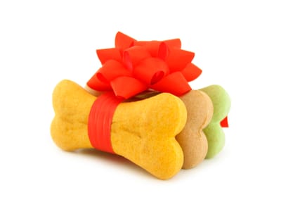 Reasons Why Most Dogs Eat Grass