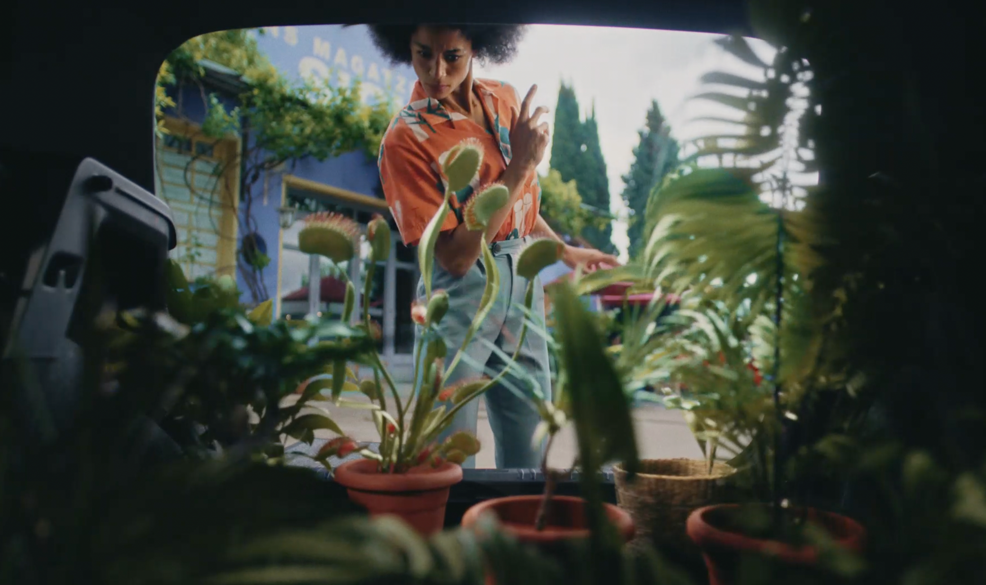 Seat Arona - James Coton - Mamma Team