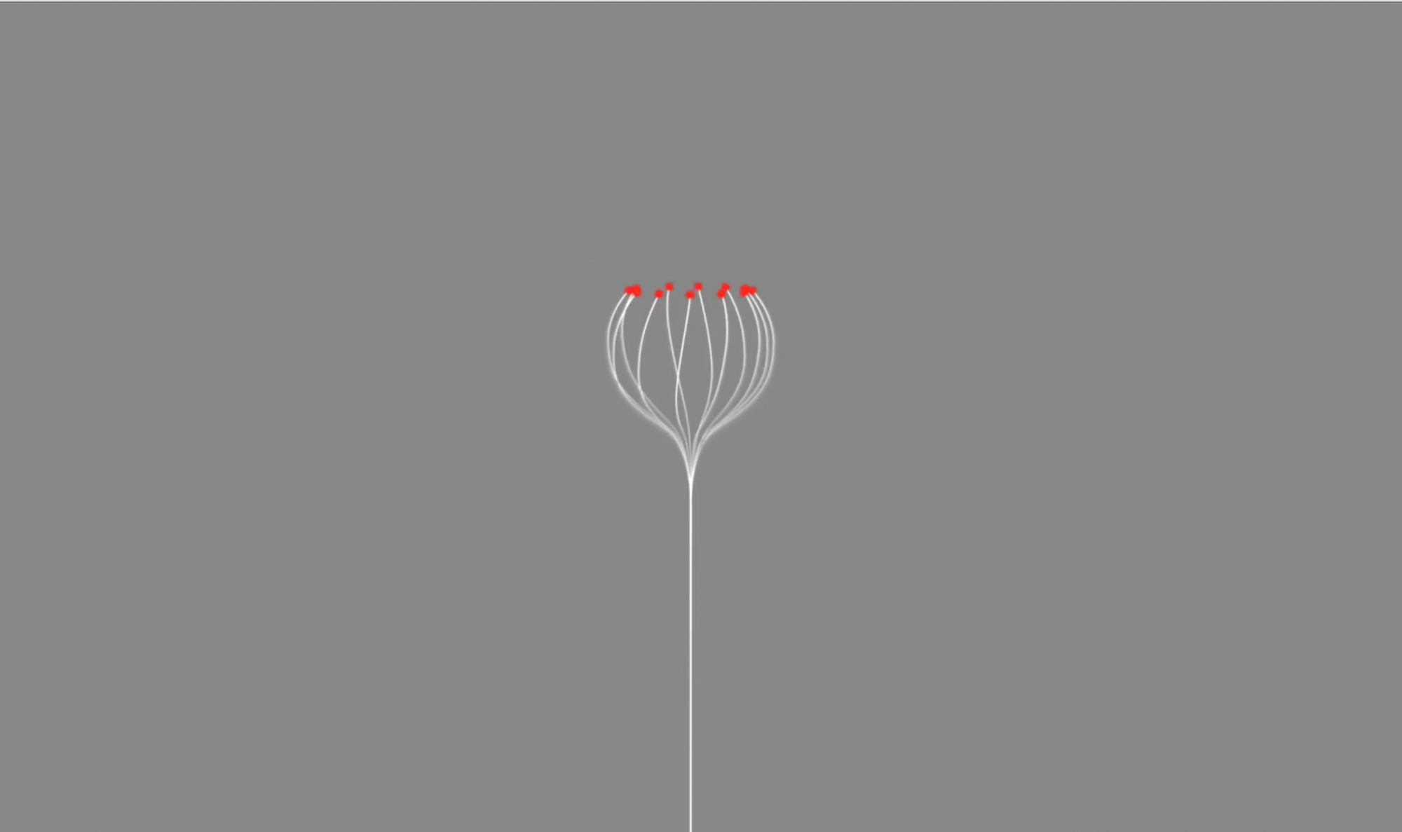 Boubyan Bank - Serena Dubai