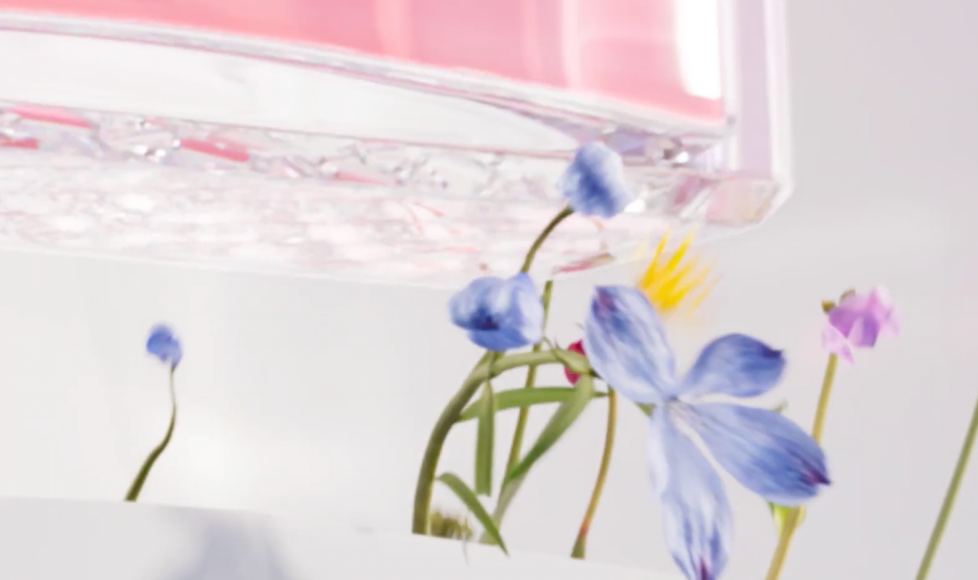 Miss Dior - OHH - BCN Visuals