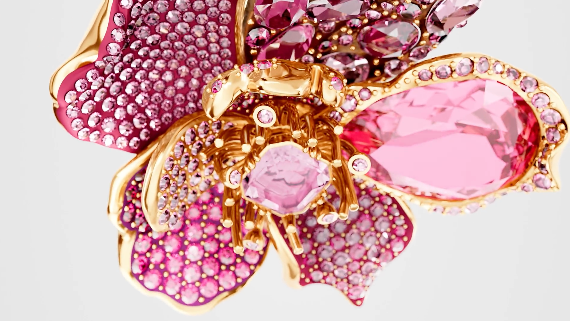 Swarovski Florere - Norte (Image Studio)