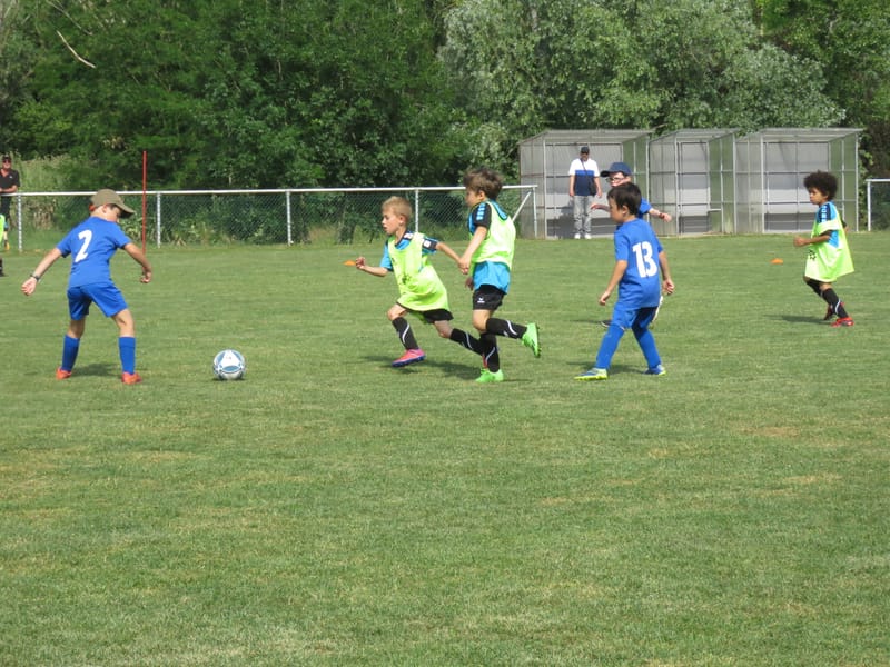 TOURNOI U7 - Samedi 3 Juin