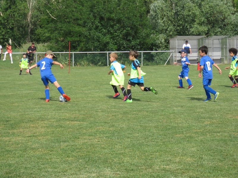 TOURNOI U7 - Samedi 3 Juin