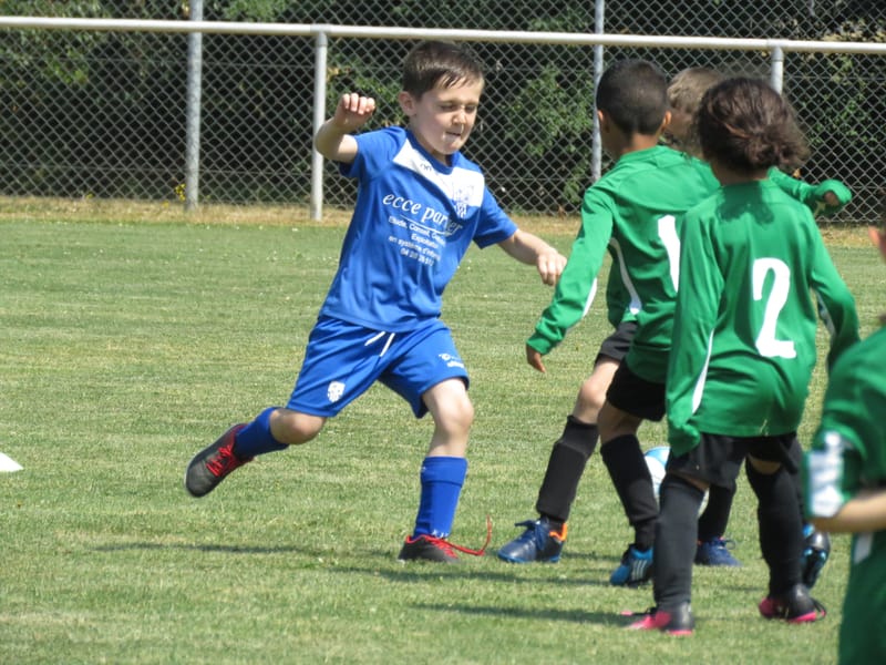 TOURNOI U7 - Samedi 3 Juin