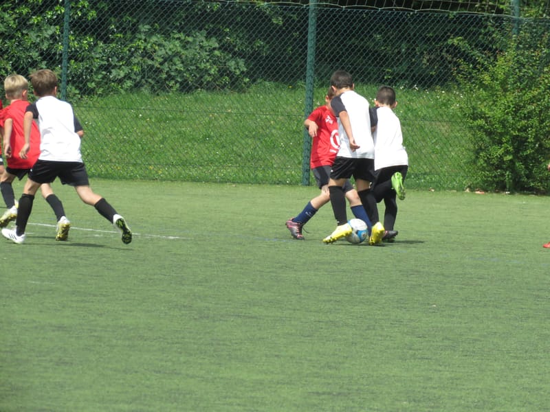 U9 - Juin 2024