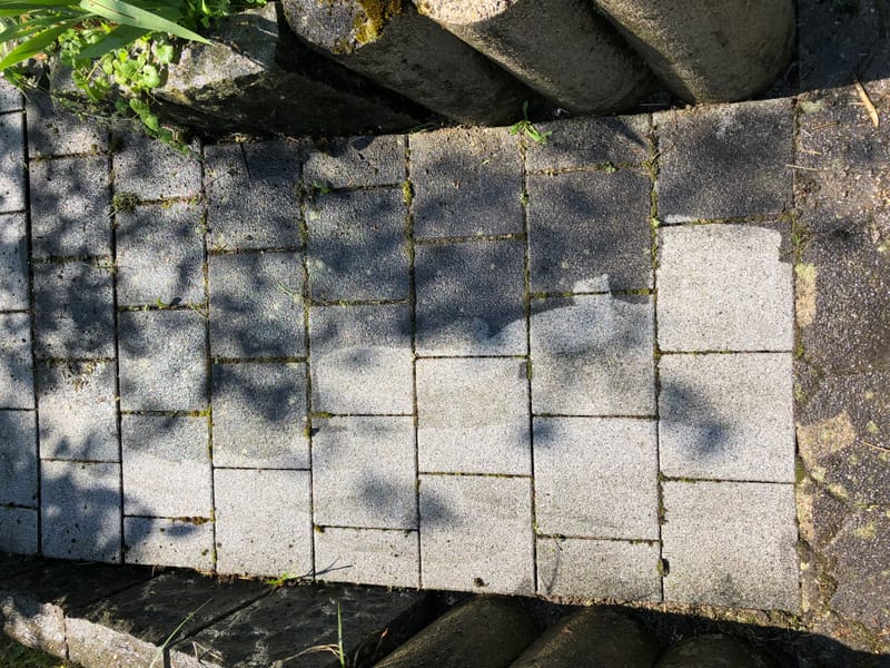 Pflastersteine Reinigung