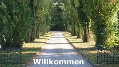 Über uns image