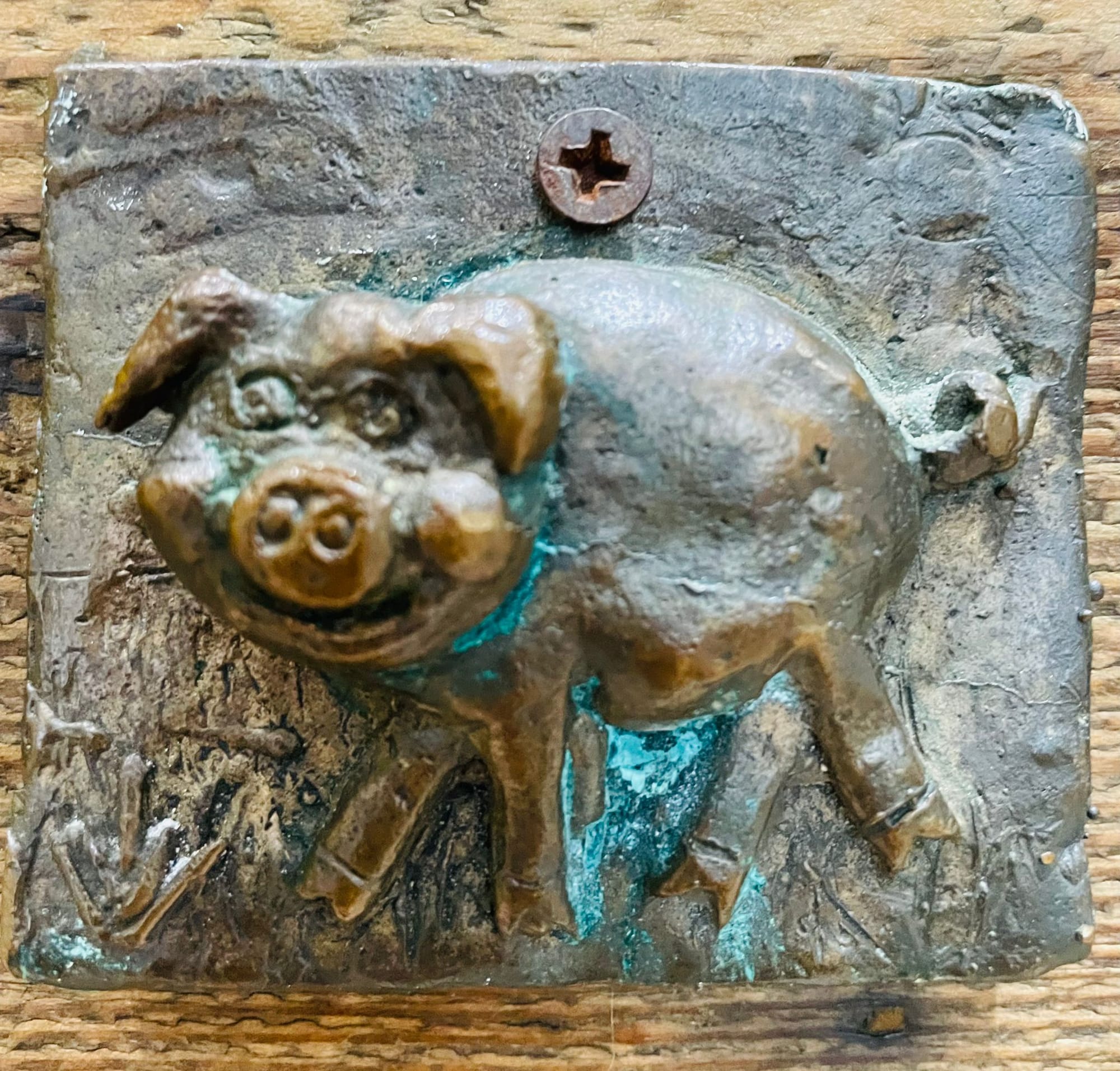 Pig 1