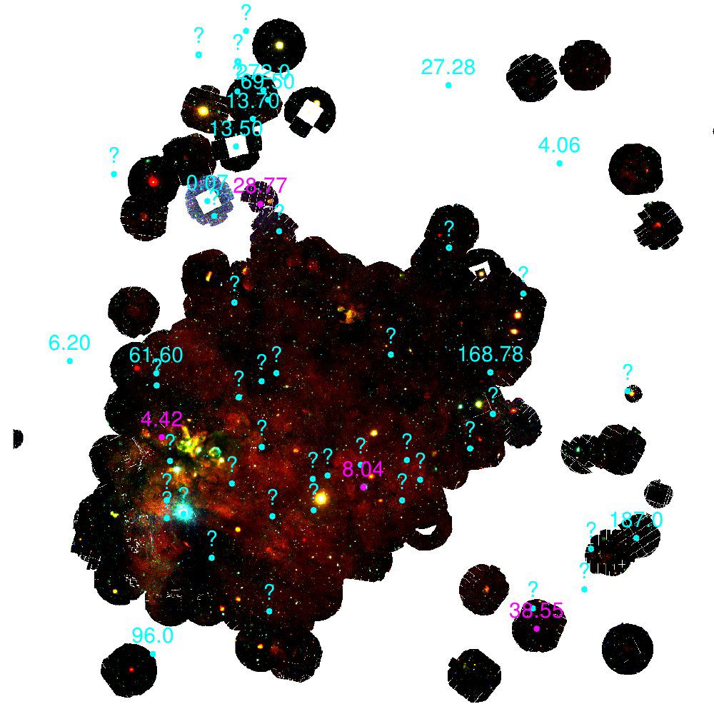 X-ray binaries in the Large Magelanic Cloud