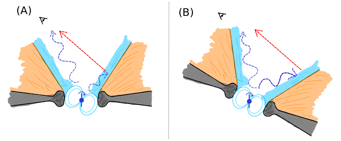 To beam or not to beam