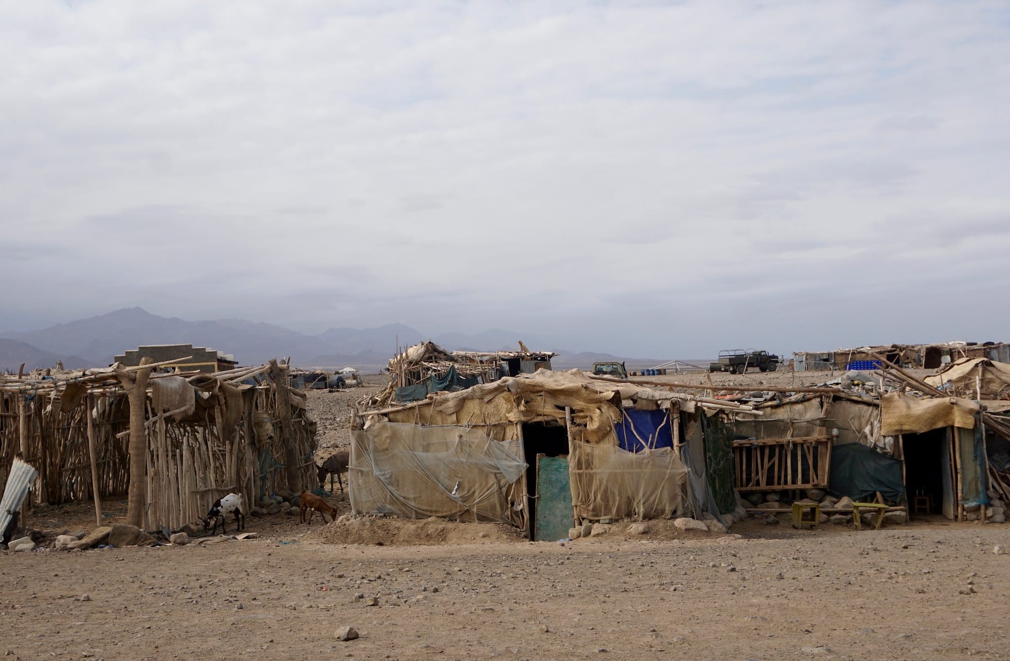 FROM AGRARIAN TO PASTORALIST: ADAPTING FOR GREATER EQUITY