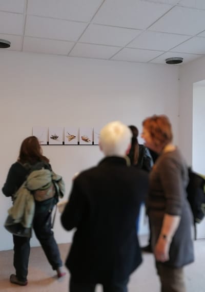 Ausstellung 5vor12