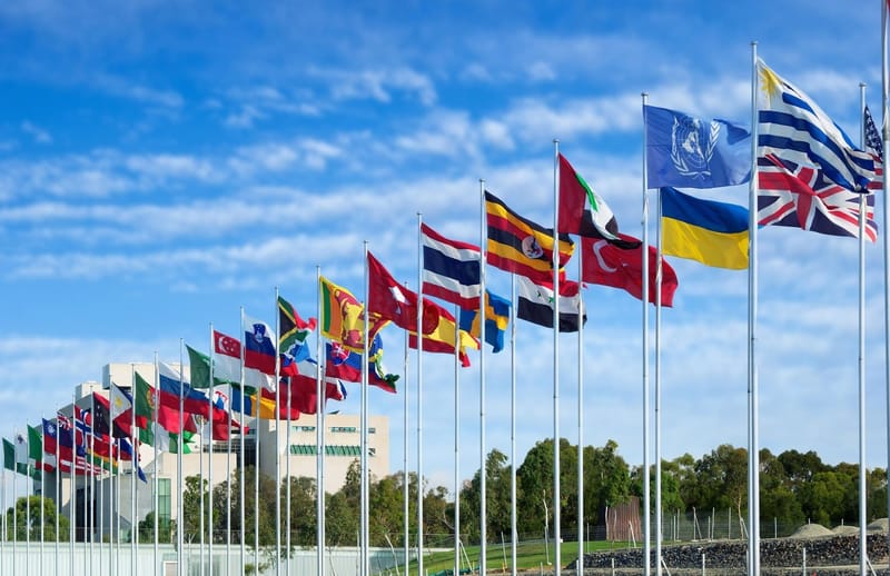 Người Việt Quấc Gia Trong Nước Lẫn Hải Ngoại Phải Kêu Gọi Quấc Tế Giúp Đỡ!