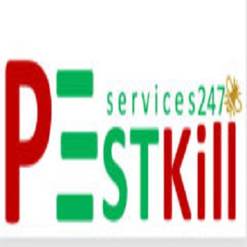 PEST KILL 247 - Công ty diệt mối côn trùng, dịch v