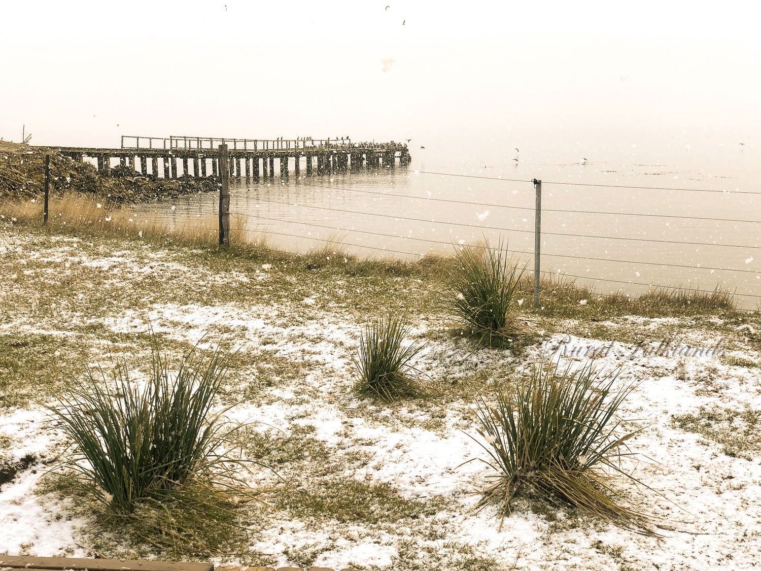 Olde Jetty