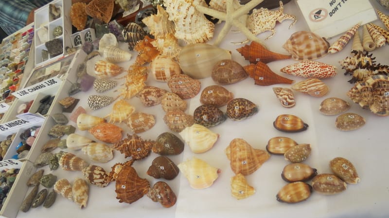 עשרת הדברות של המנהיג