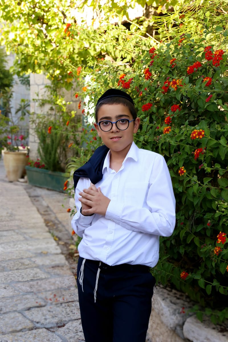 צילומי משפחה בטבע