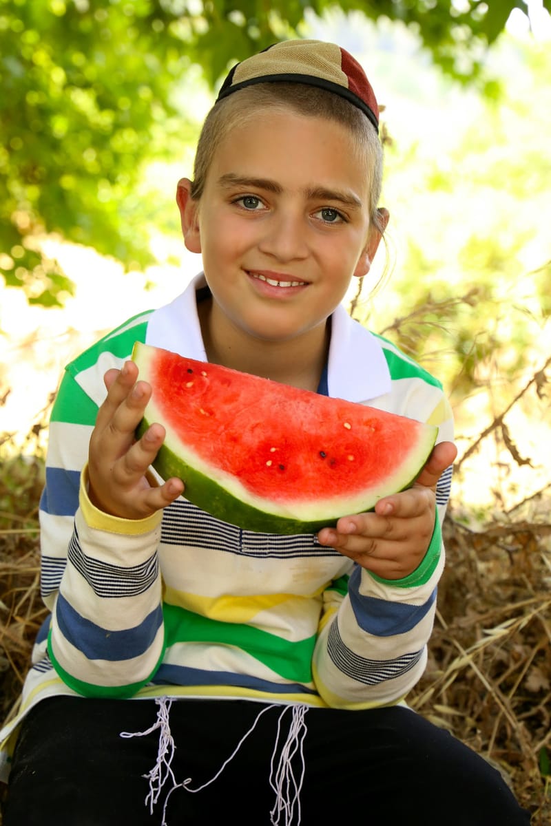 צילומי משפחה בטבע