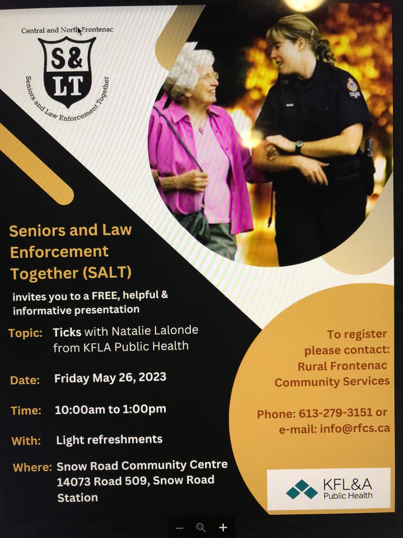 SALT Presentation - Frauds and Scams