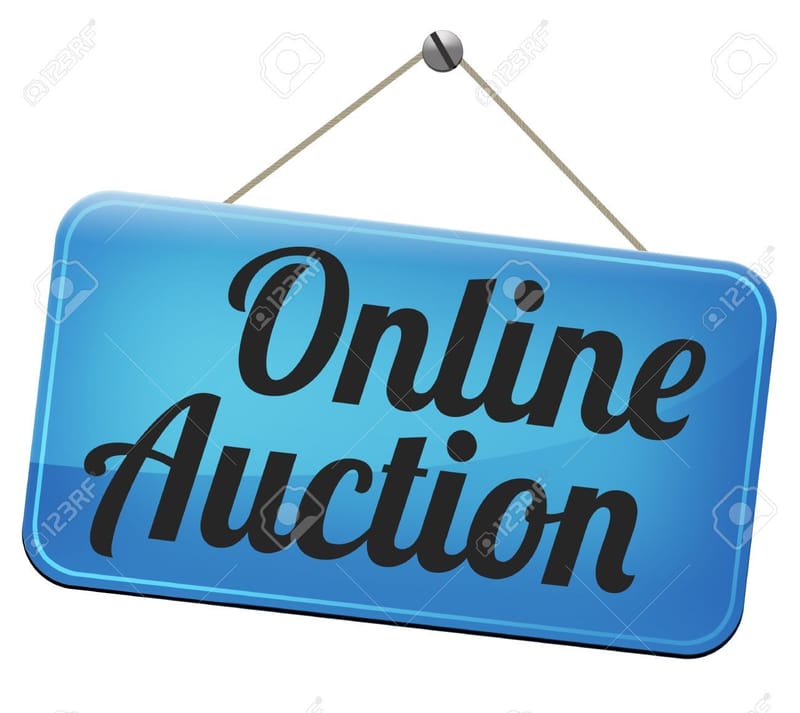 Online Auctions