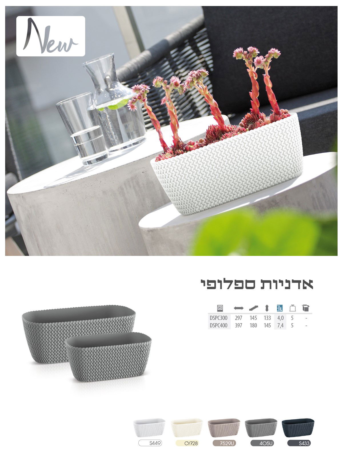 אדנית ספלופי עם המראה הסרוג