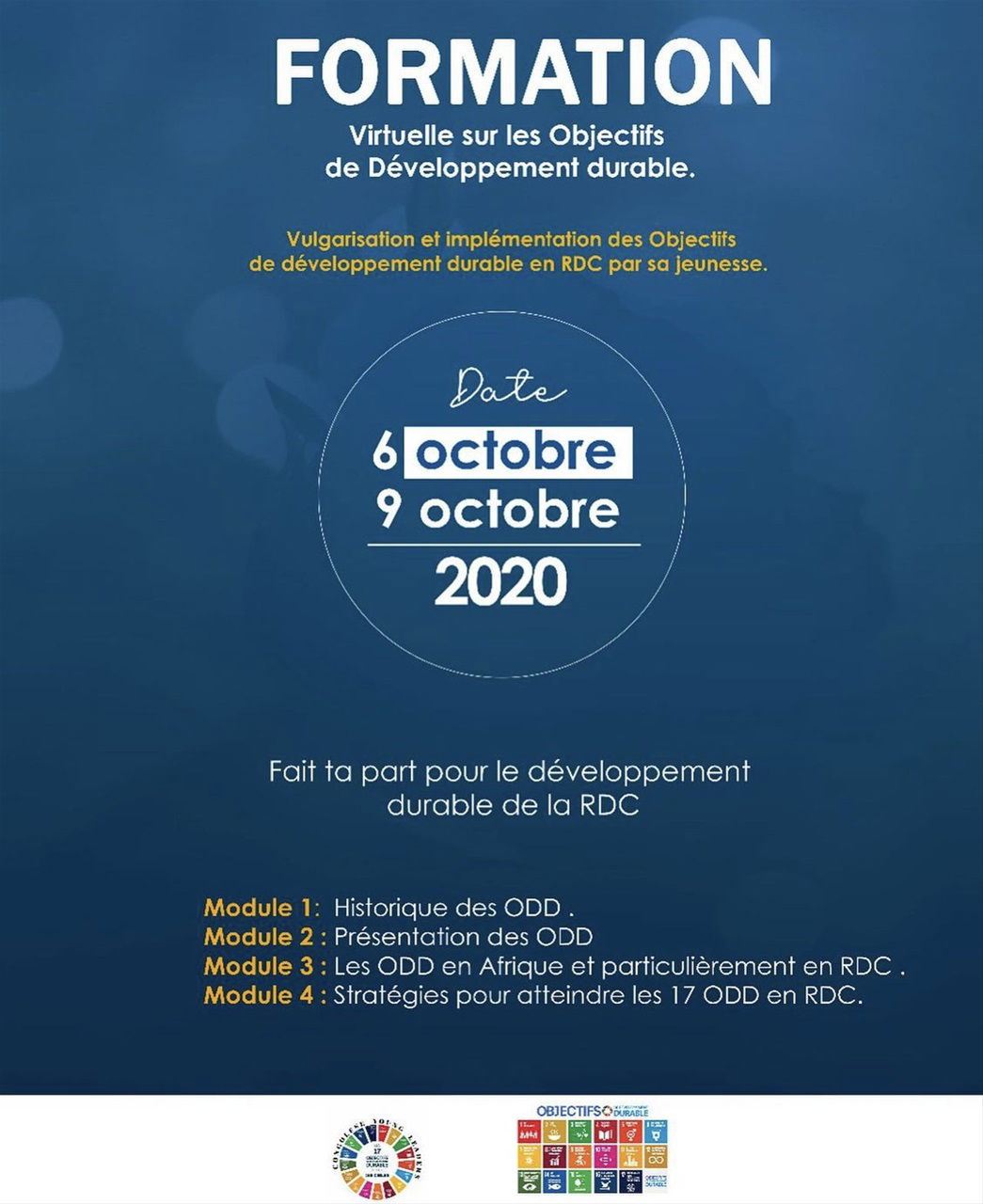 Empowering Change: A Three-Day Virtual Training on Sustainable Development Goals in the DRC