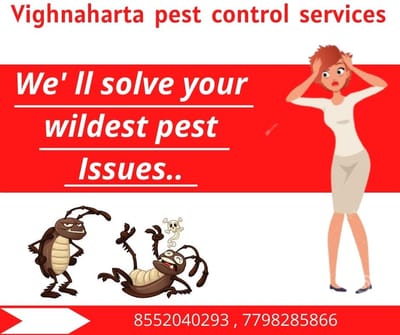 Finding Affordable Pest Control in nagpur image
