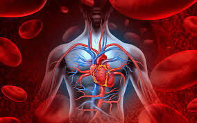 CIRURGIA VASCULAR - ANGIOLOGIA