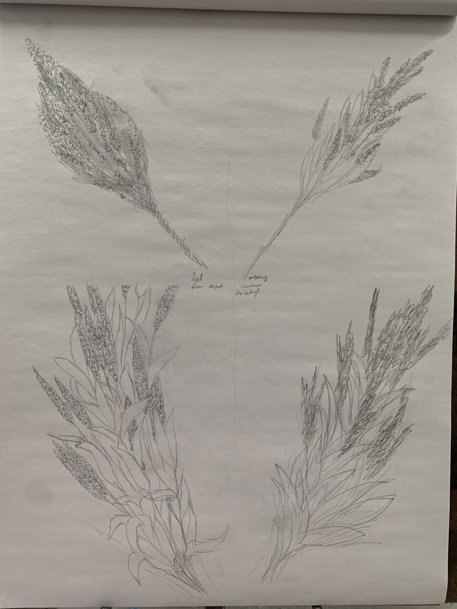 A Study On Flowers