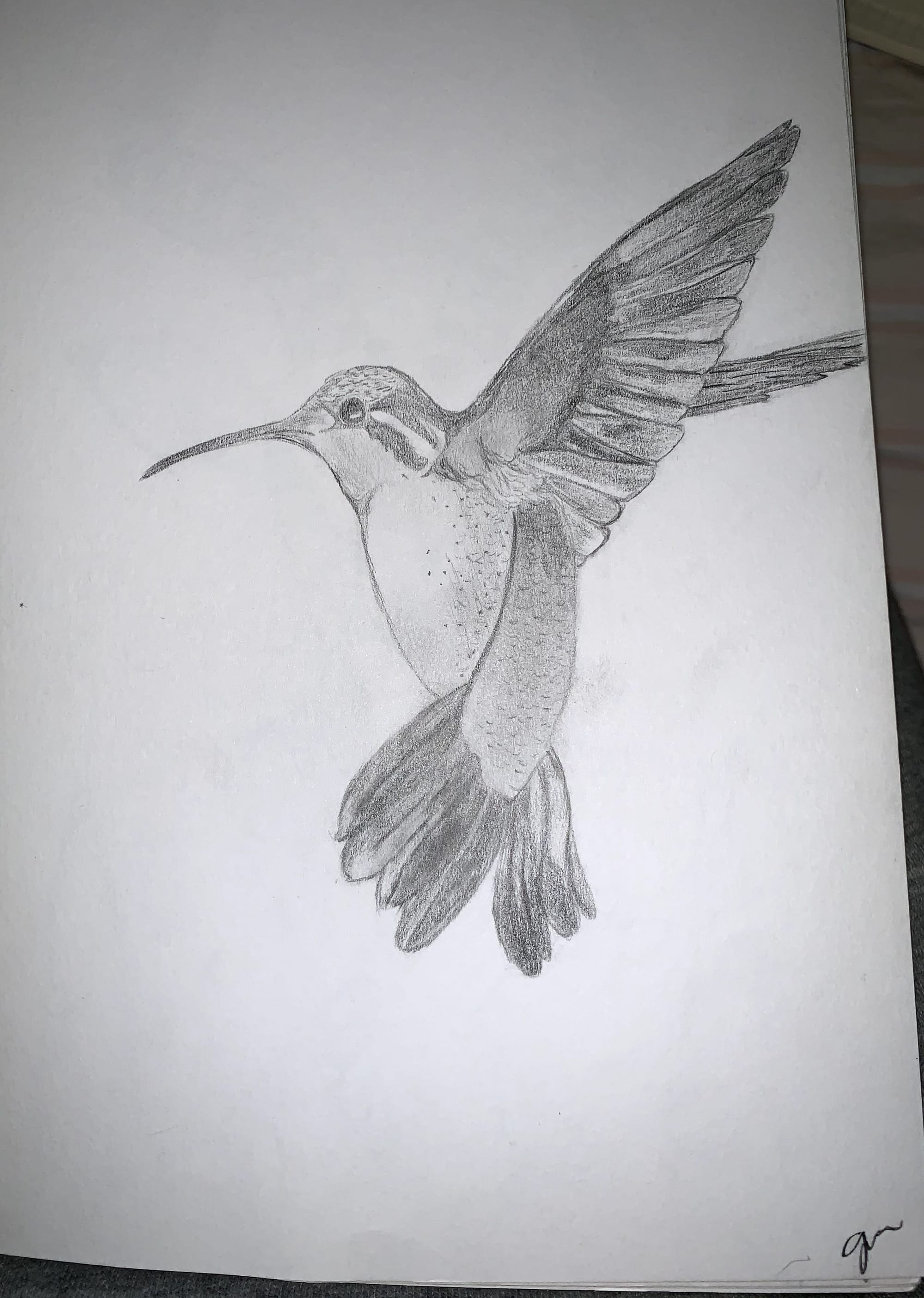 Hummingbird