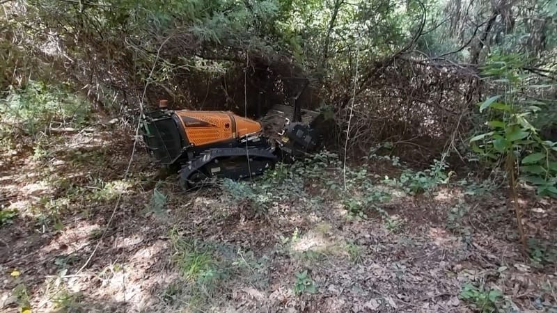 Desmatação de terrenos